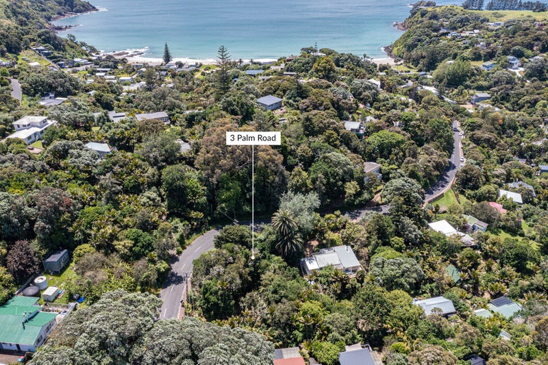 3 Palm Road, Palm Beach, Waiheke Island - Carousel 1