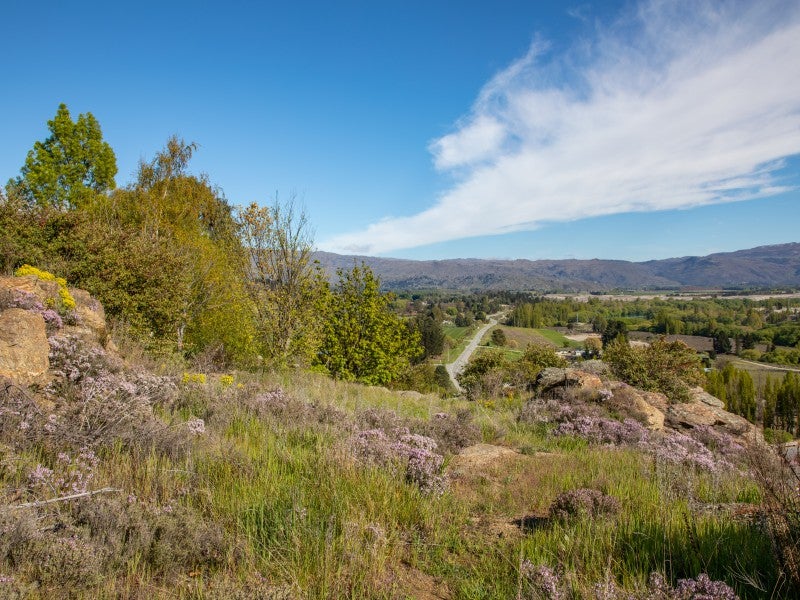 16 Hawkdun Place, Bridge Hill, Alexandra - Carousel 13