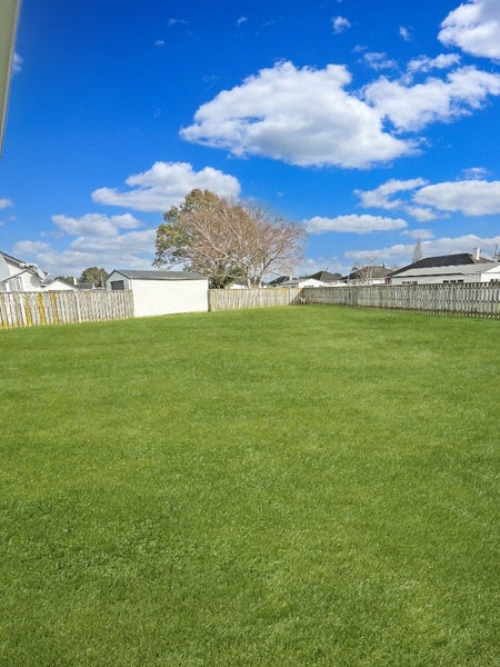 31 Hudson Avenue, Bulls - Carousel 12