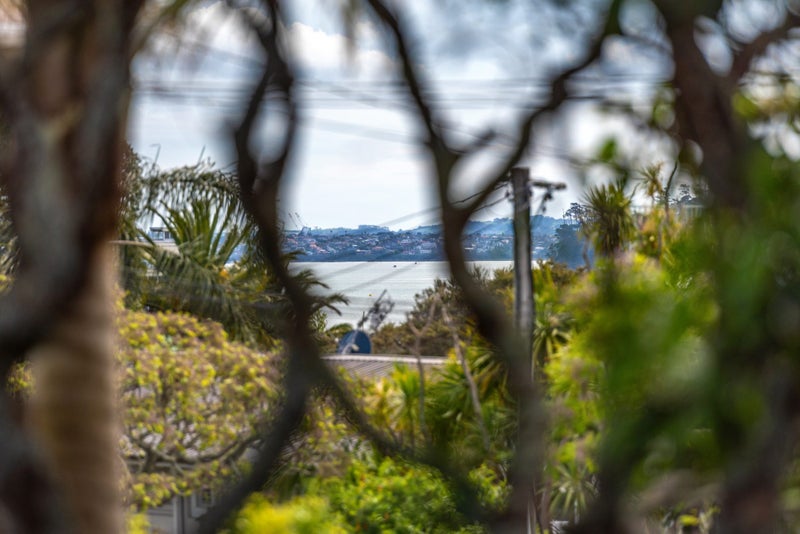 58 Shelly Beach Road, Saint Marys Bay, Auckland - Carousel 31