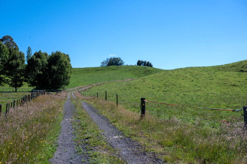 254 Oruanui Road, Taupo - Carousel 19