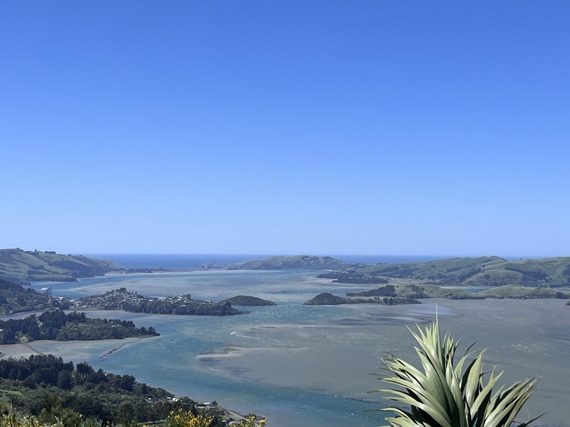 249 Signal Hill Road, Saint Leonards, Dunedin - Carousel 1