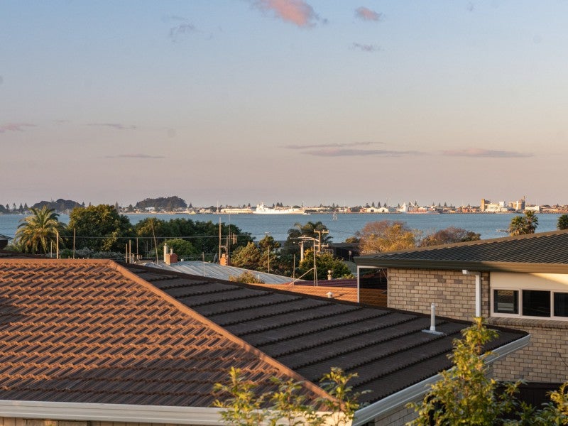 517A Otumoetai Road, Otumoetai, Tauranga - Carousel 2