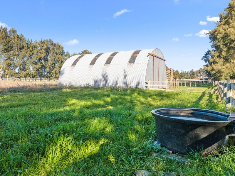 195B Hallett Road, Otakiri - Carousel 8