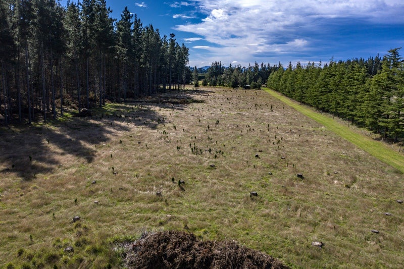 752 Downs Road, Eyrewell, West Eyreton - Carousel 2