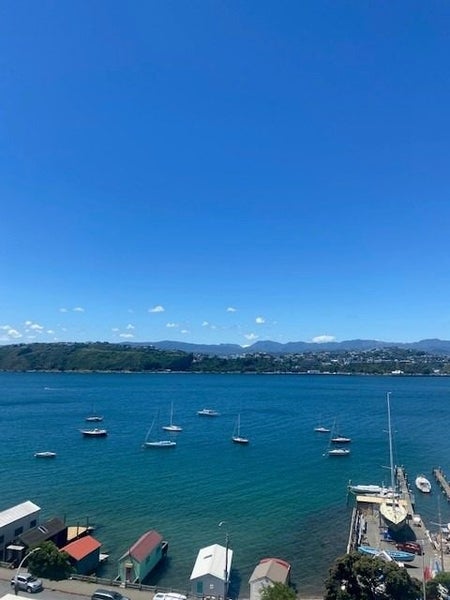 43 Belvedere Road, Hataitai, Wellington - Carousel 2
