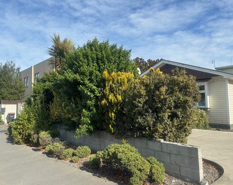5/49 Picton Avenue, Riccarton, Christchurch - Carousel 16