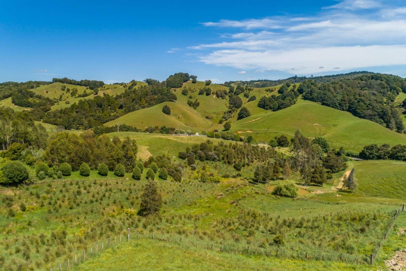 103 Bayer Road, Puhoi, Warkworth - Carousel 2