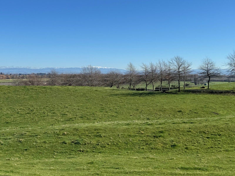 0 Tuki Tuki Road - Carousel 1