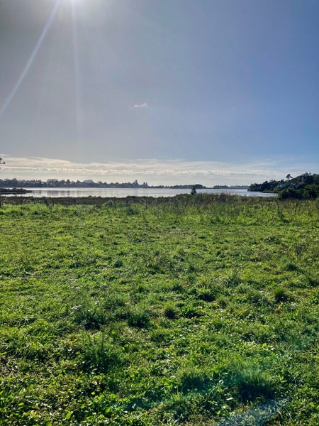 45 Hinaki Street, Poike, Tauranga - Carousel 2