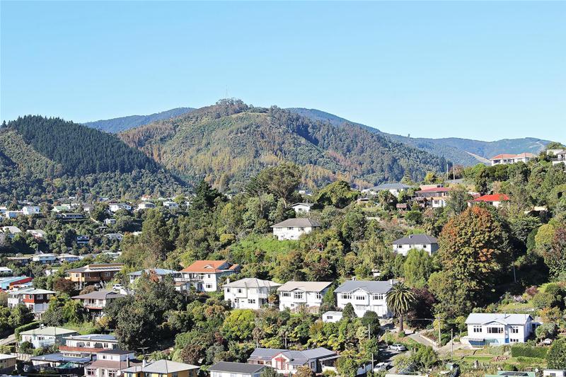 25 Valley Heights Road, Beachville, Nelson - Carousel 12