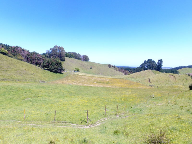 936 Herepuru Road, Matata, Whakatane - Carousel 2