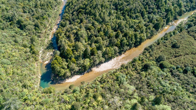 229 Kapowai Road, Whenuakite, Whitianga - Carousel 20