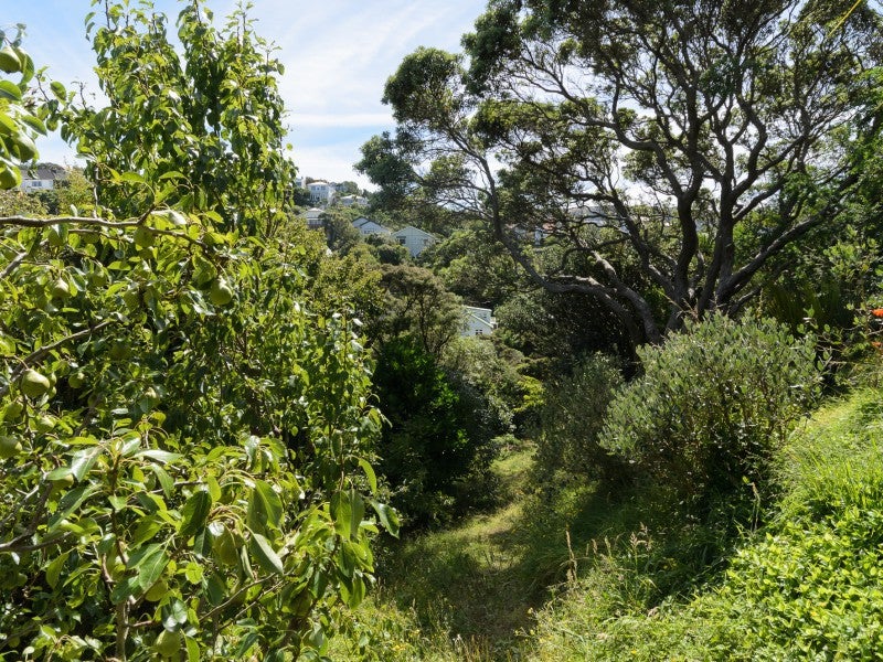 59 Sefton Street, Wadestown, Wellington - Carousel 19