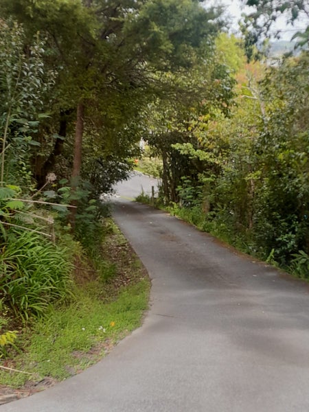 46 Vale Road, Riverside, Whangarei - Carousel 15