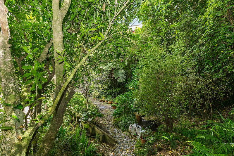 3D Armitage St, Ngaio, Wellington - Carousel 24