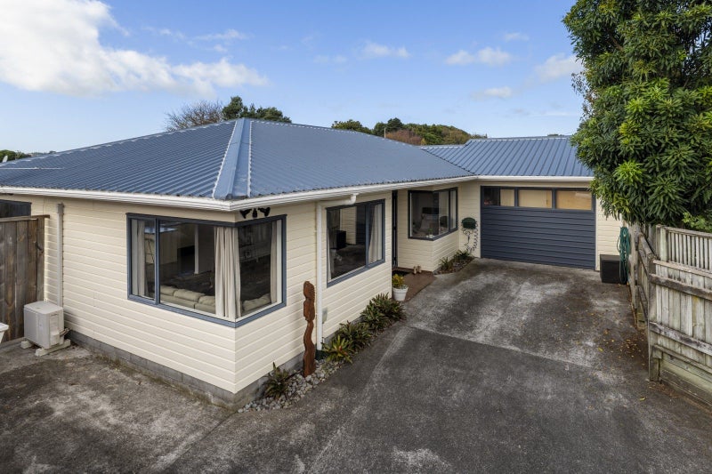 41B Lismore Street, Strandon, New Plymouth - Carousel 2