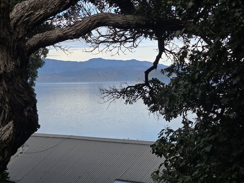 4 Rangiora Avenue, Kaiwharawhara, Wellington - Carousel 10