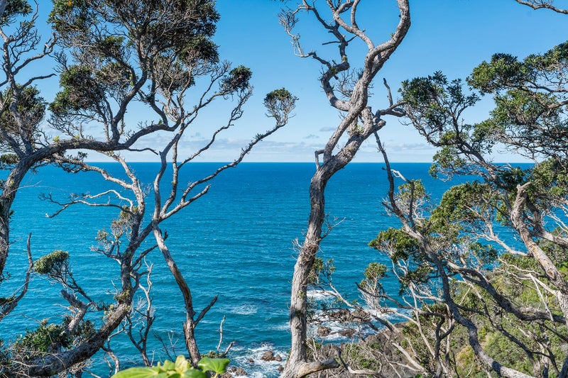 51 Dolphin Place, Whangarei - Carousel 35