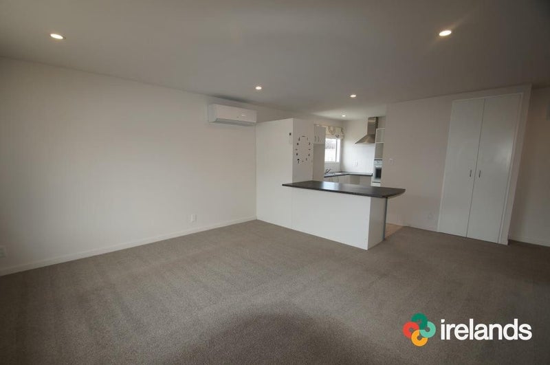 3/11 Cross Street, Phillipstown, Christchurch - Carousel 1