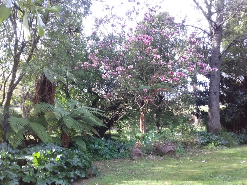 32 Banks Avenue, Burwood, Christchurch - Carousel 7