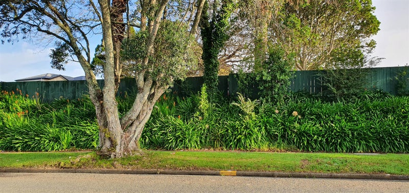 49 Hillcrest Road, Papatoetoe, Auckland - Carousel 2