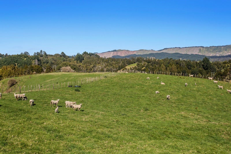 247B Stanley Road, Wainui, Whakatāne - Carousel 31