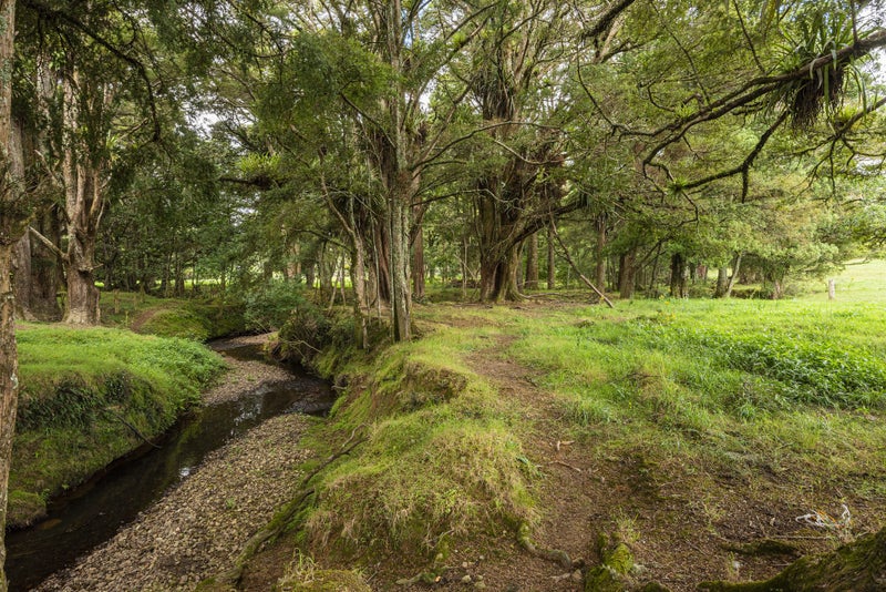 453 Pigs Head Road, Opuawhanga, Hikurangi - Carousel 2