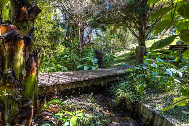 7 Hill Road, Palm Beach, Waiheke Island - Carousel 45