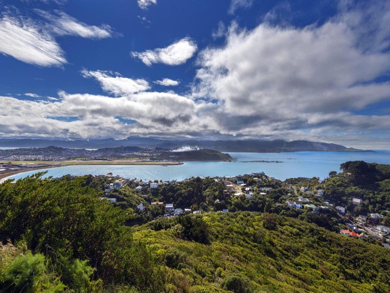 93 Buckley Road, Southgate, Wellington - Carousel 2