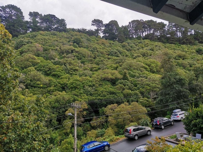 14 Hapua Street, Hataitai, Wellington - Carousel 8