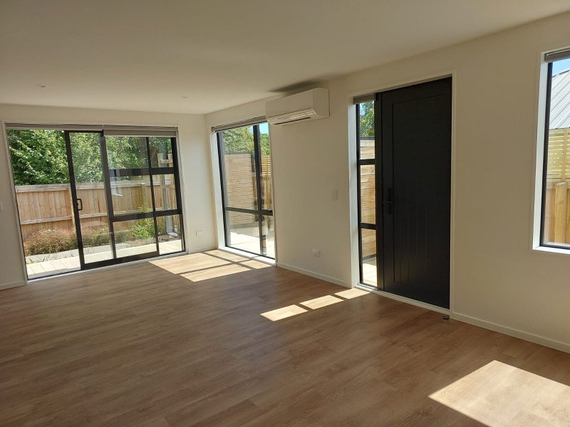 4/163 Bordesley Street, Phillipstown, Christchurch - Carousel 2