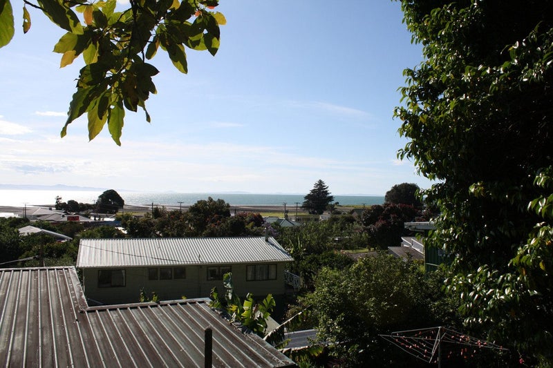 21 Creagh Street, Tapu, Thames - Carousel 19