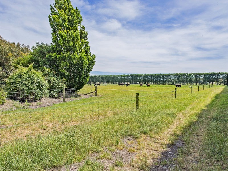 934 Leeston Dunsandel Road, Leeston, Leeston - Carousel 20