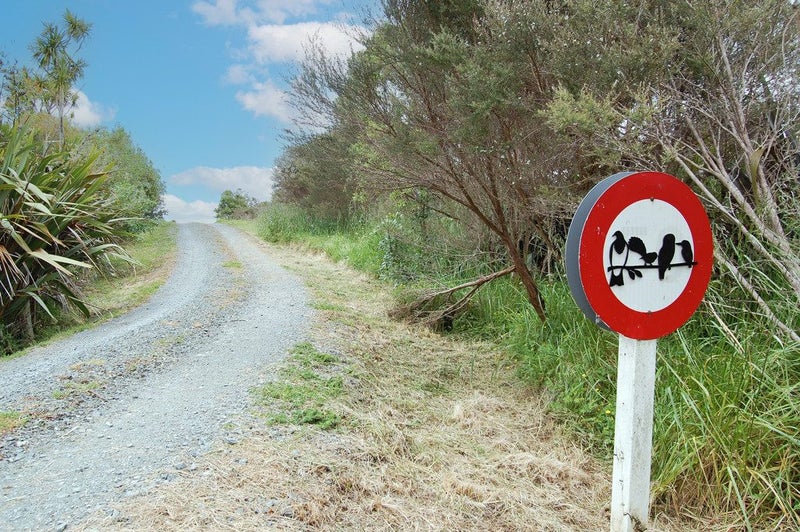 0 Oneriri Rd, Kaiwaka - Carousel 2