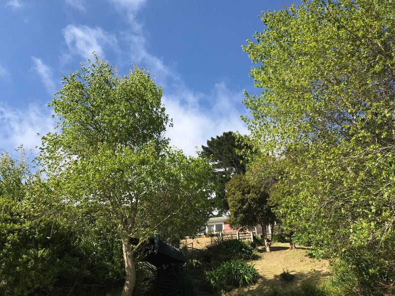 119 Wainuiomata Road, Wainuiomata, Lower Hutt - Carousel 2