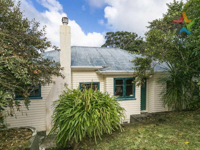 17 Havelock Street, Mornington, Wellington - Carousel 1