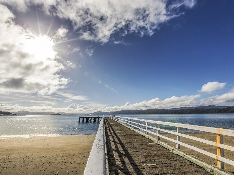 79 Ludlam Street, Seatoun, Wellington - Carousel 20