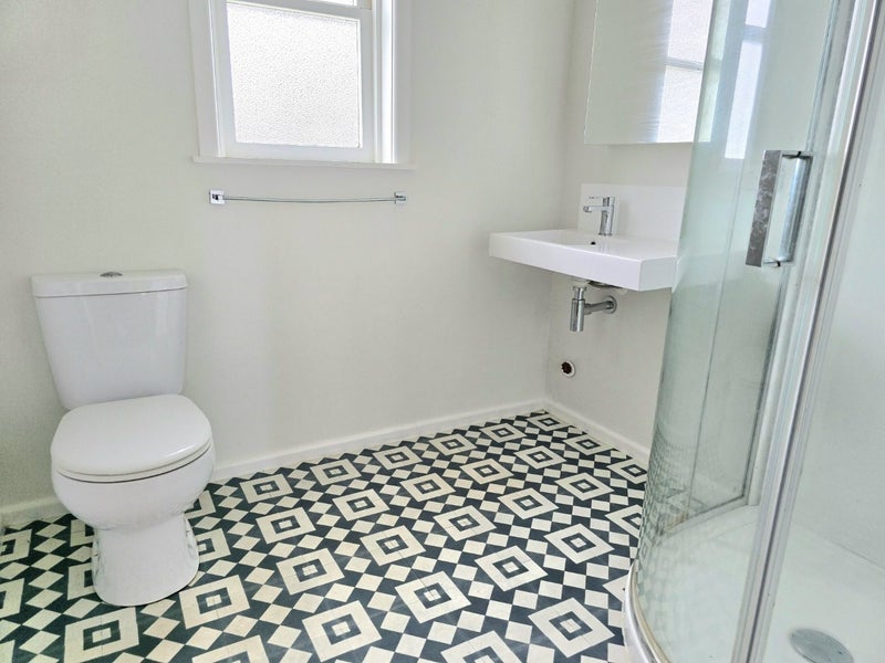 28 Pretoria Street, Hutt Central, Lower Hutt - Carousel 8