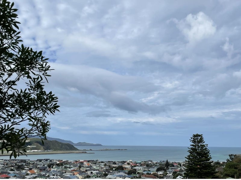 26 Lerwick Terrace, Melrose, Wellington - Carousel 1