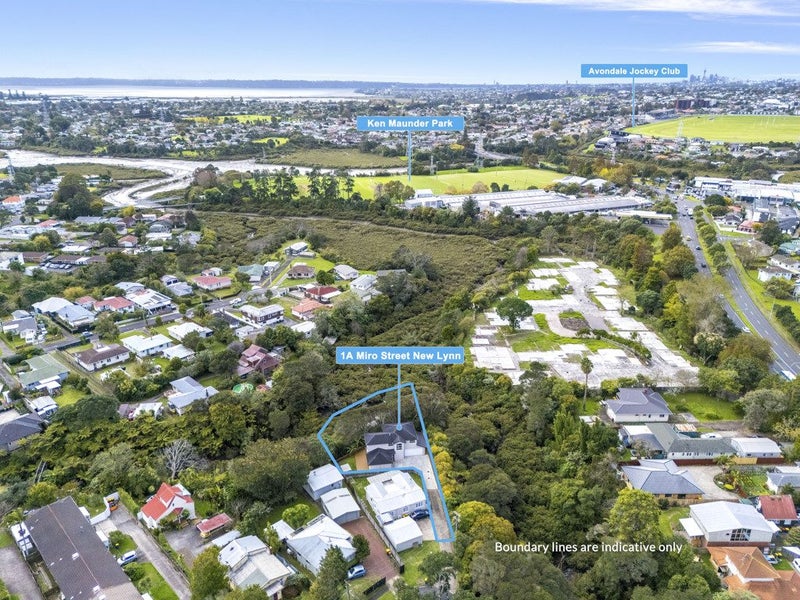 1A Miro Street, New Lynn, Auckland - Carousel 29