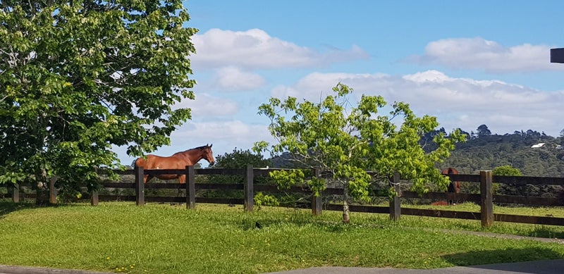 8/3 Orwell Road, Greenhithe, Auckland - Carousel 1