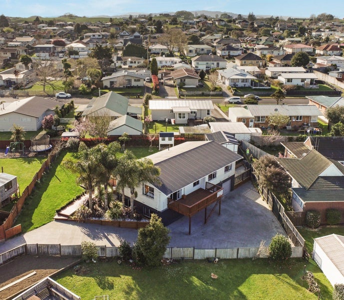 20 Moana Place, Morrinsville, Morrinsville - Carousel 1