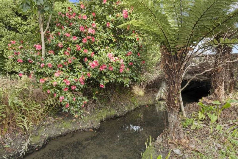 67 Essex Street, Phillipstown, Christchurch - Carousel 12