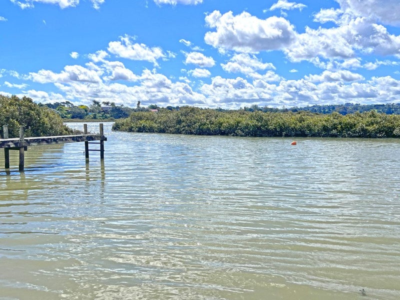 10 The Terrace, Herald Island, Auckland - Carousel 21