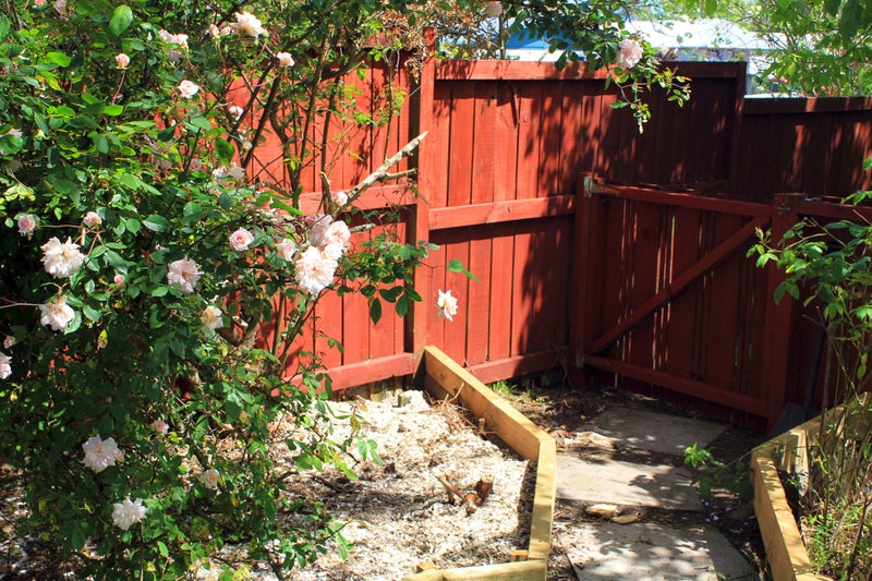 5 Rheingold Place, Huapai, Kumeu - Carousel 26