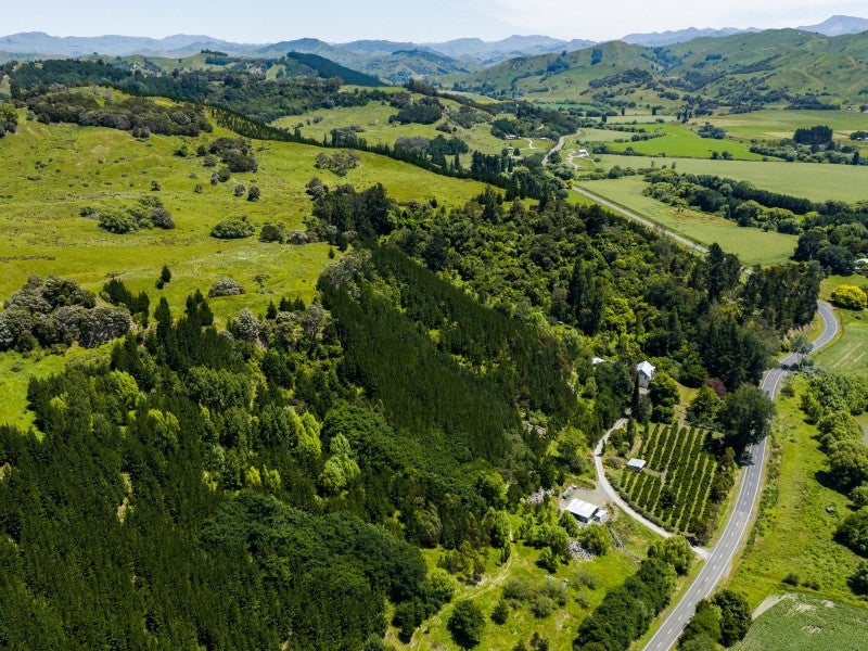 2933 Matawai Road, Te Karaka, Te Karaka - Carousel 24