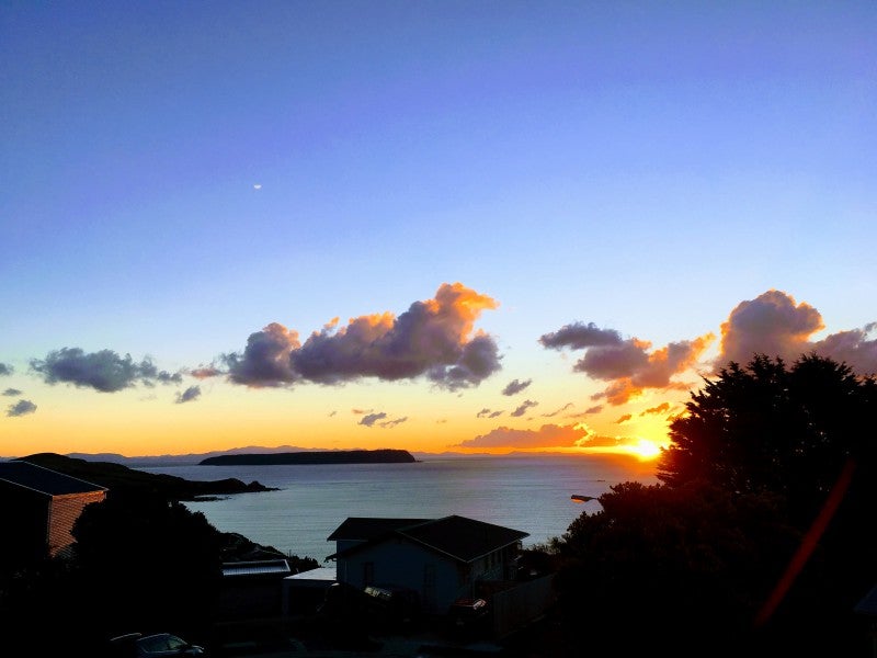 10 Tremaine Place, Camborne, Porirua - Carousel 20