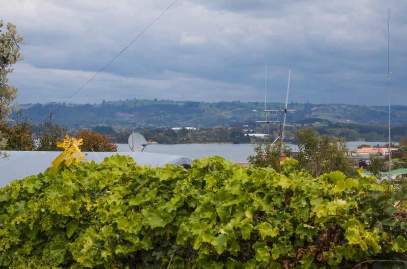 25 Vivian Drive, Omokoroa, Omokoroa - Carousel 16