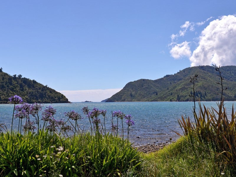 21 The Parade, French Pass - Carousel 21